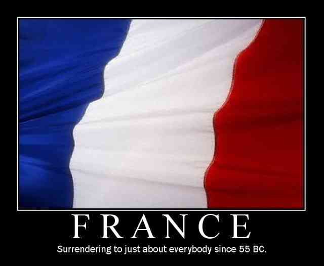 french-funny-flag1.jpg