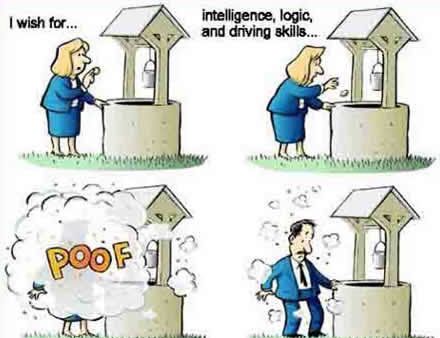 funny-pictures260.jpg