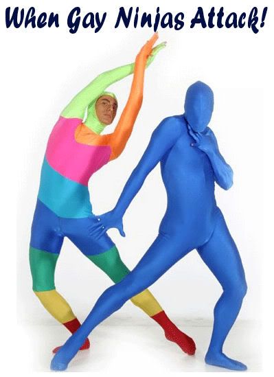gay-ninjas3.jpg