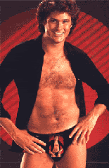 hoff.gif