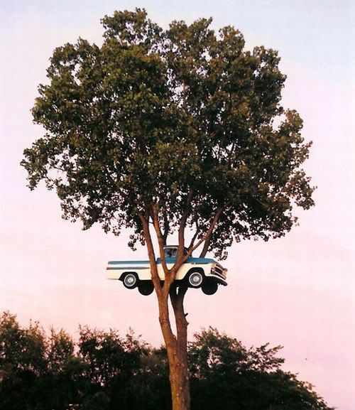 pick-up-tree-house_IzVDS_6648.jpg