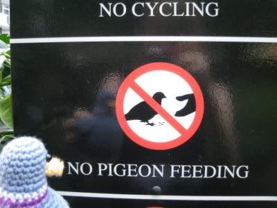 pigeon.jpg