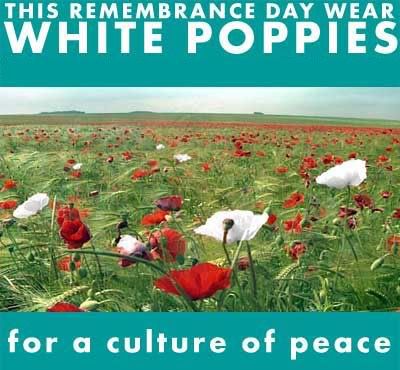 poppy-web-front-04.jpg