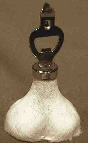 scrotum_bottle_opener1.jpg