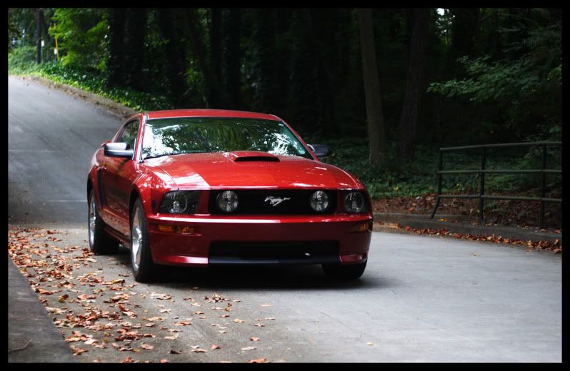 2008 Mustang GT California Special