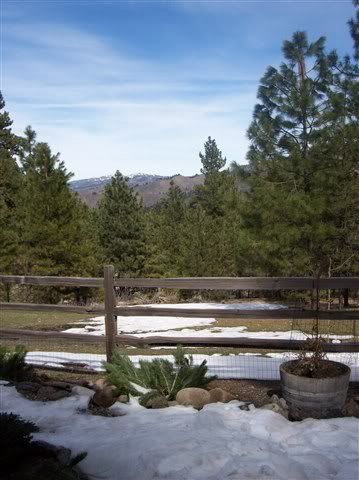 Mountain View Wildernss Ranch Idaho