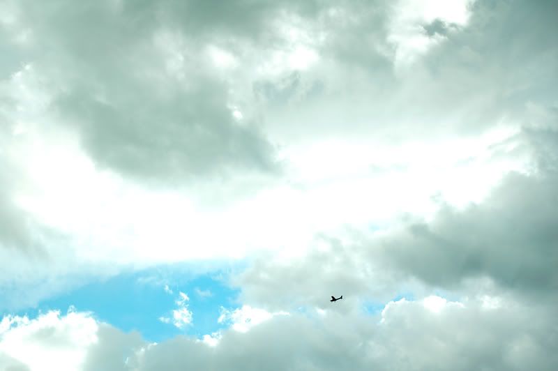 plane in the sky