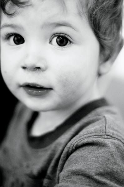 my guy