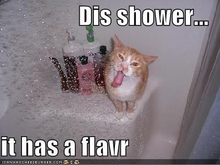 shower flavor cat