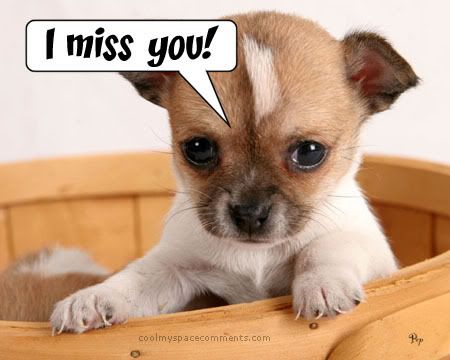 MissYouPuppy.jpg Missing you Puppy image by New2life06