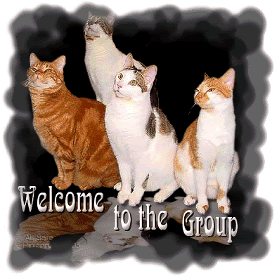 Welcome to the Group Pictures, Images and Photos