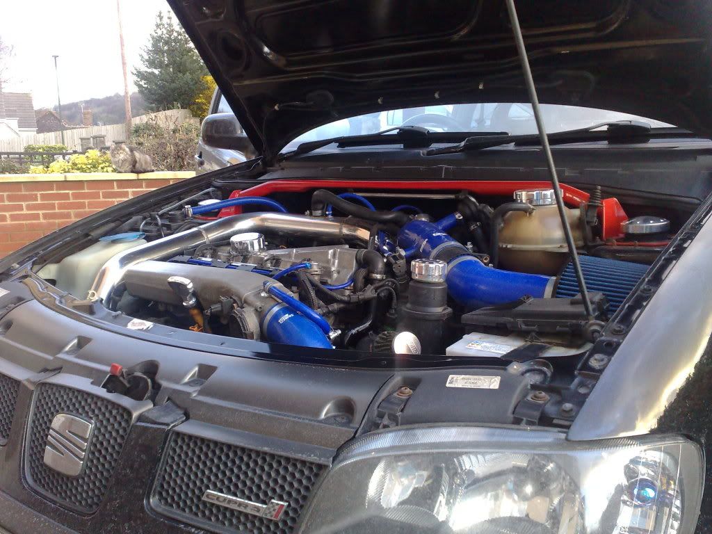 26032009159.jpg
