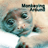 Monkey-Avatar.png