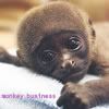baby_monkey_2-1.jpg