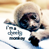cheekymonkey.png