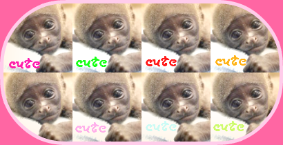 monkeycollage2.png