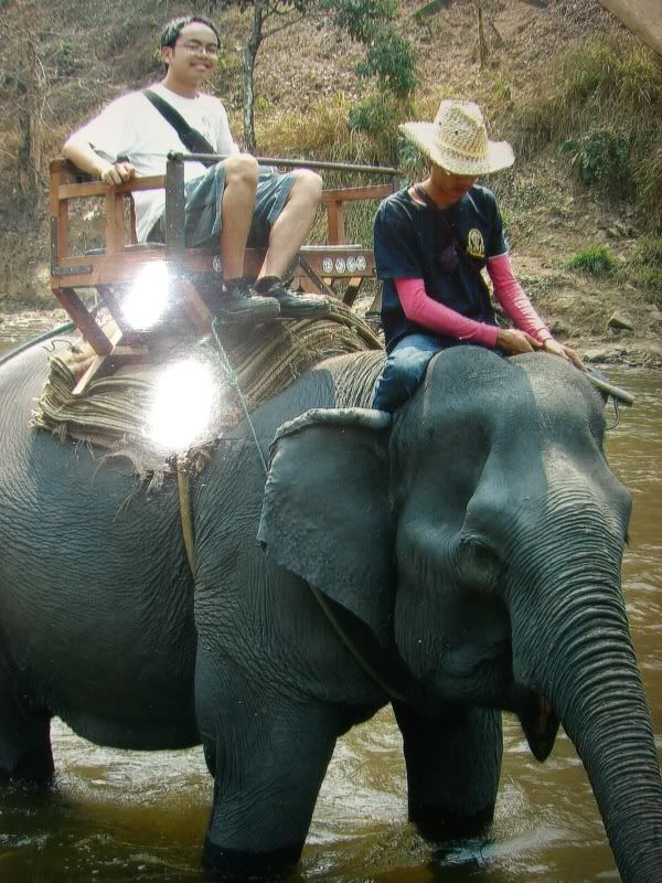 Riding at the Mae Taeng Elephant Farm