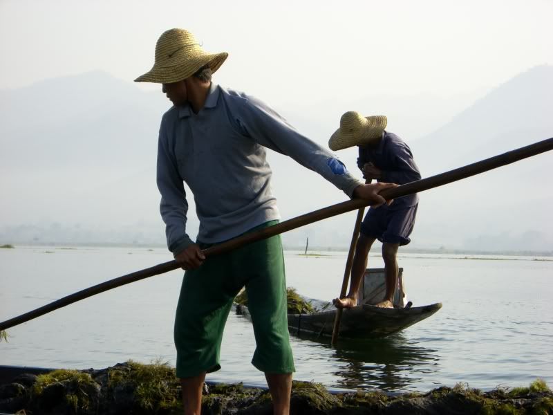 Boatmen collecting seaweed