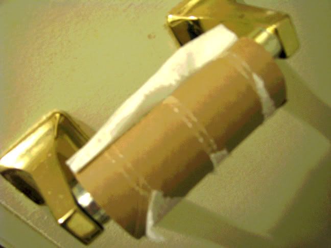 Toilet Paper Roll Empty