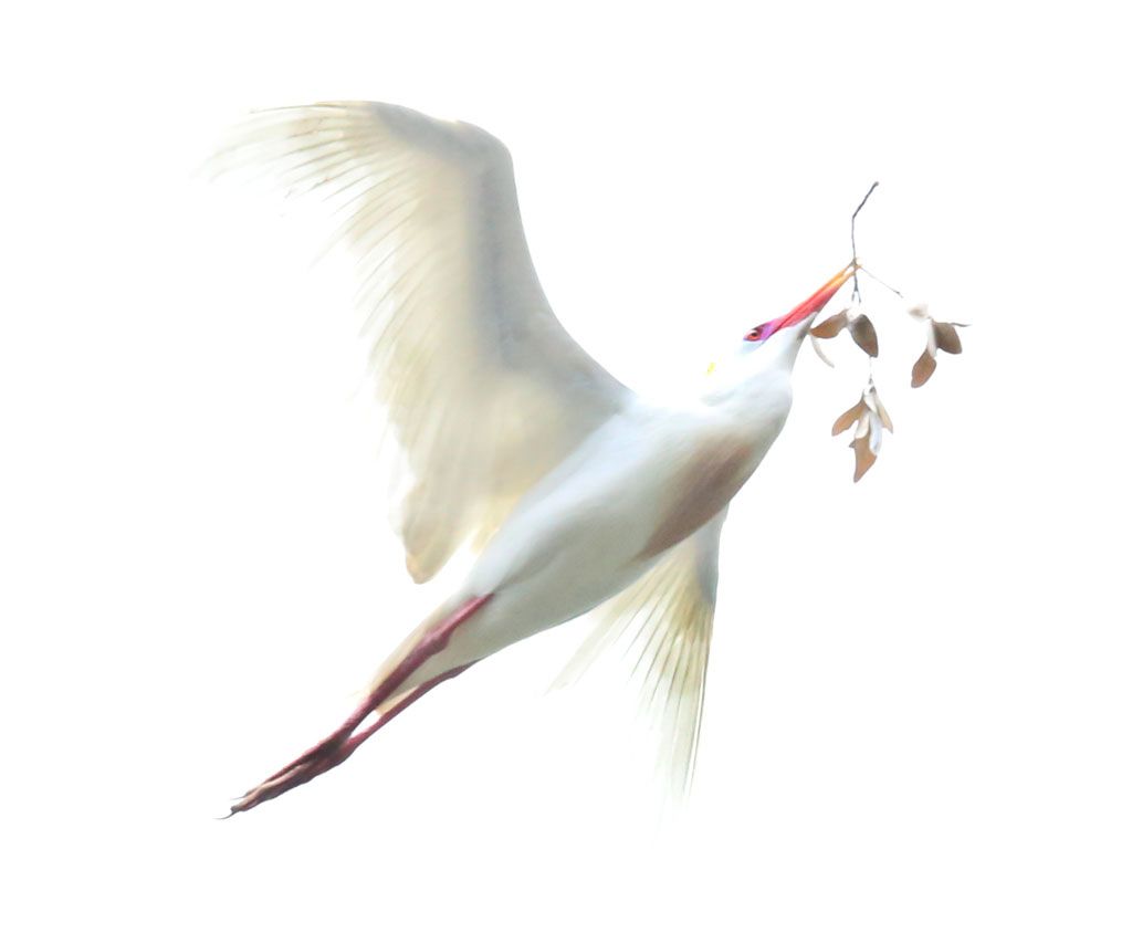 IMAGE: http://i108.photobucket.com/albums/n20/doubletakespresents/IMG_4121_zpsxulhiedw.jpg