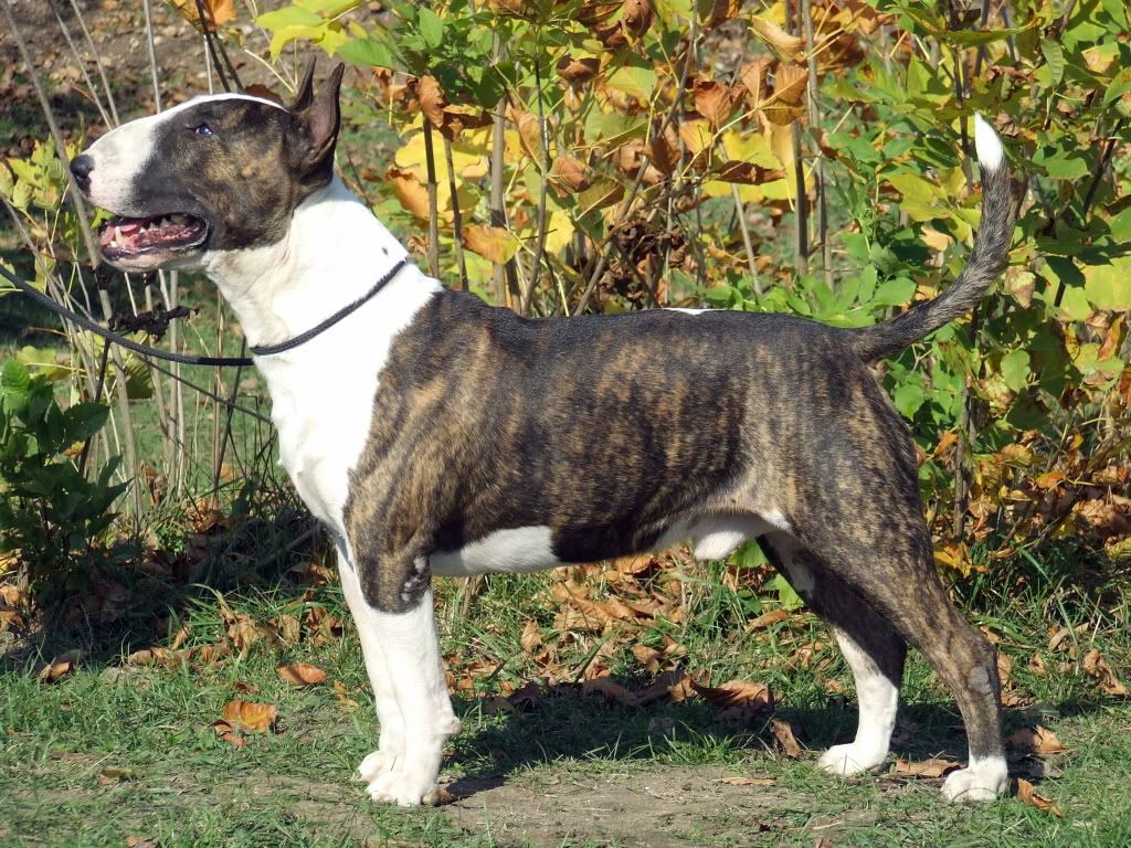 DSCF1759.jpg
