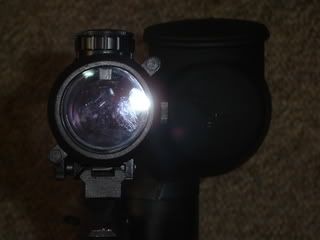 Posted Image