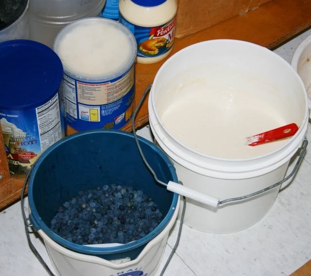 sourdough and blueberries