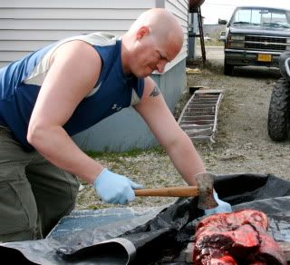 hatcheting a seal