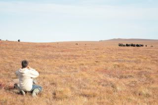 dean adn koy near the herd