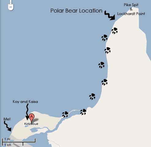 Polar Bear location