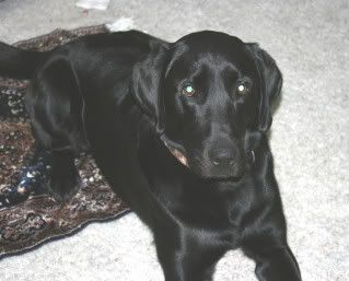 on his rug