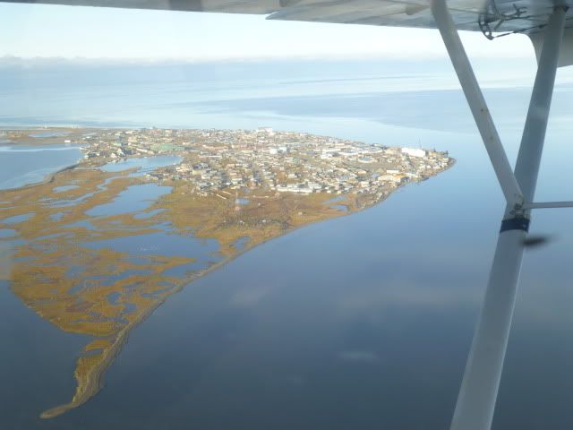 Kotzebue