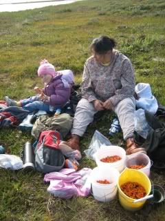 picking berries