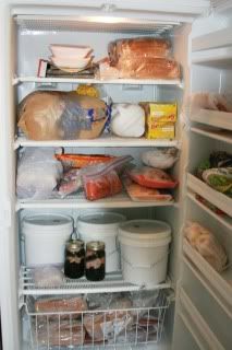 freezer full of stuff