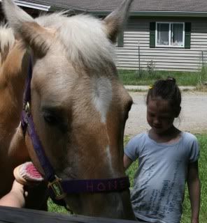 Kaisa brushing honey