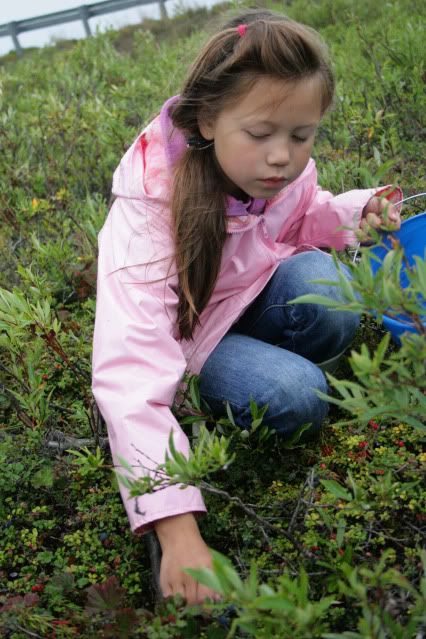 kids picking