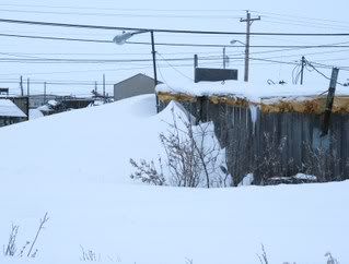 snowed in shack