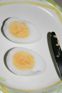 seagull eggs 2