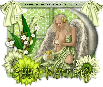 good morning gadget on Good Morning Tags - chestlungorcopd