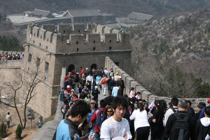 The great wall china:206W~(1111543)