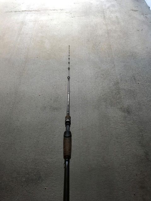daiwa tatula frog rod