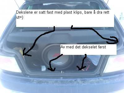 Bilde