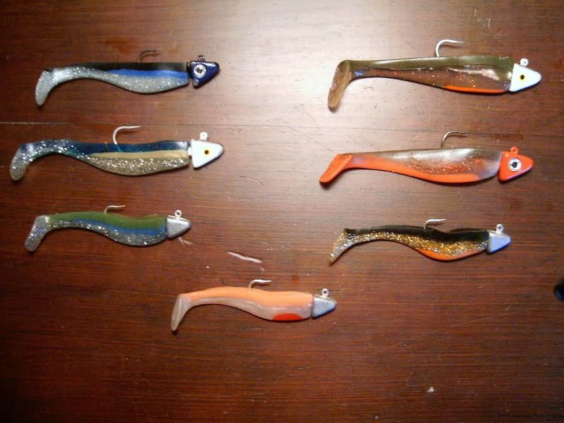 sand bass or rockfish? Rockfish San Diego. sand bass or rockfish?