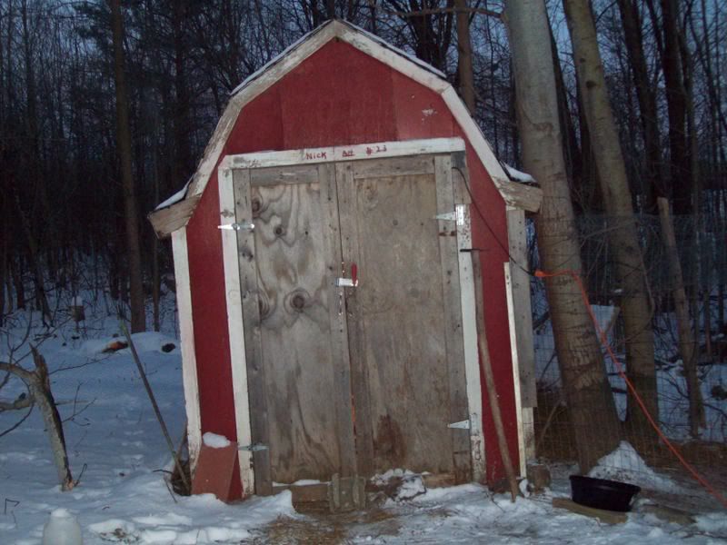 Our Chicken Coop! Our chicken coop!