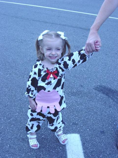 Chick-fil-a Cow Appreciation Day?  Do you have a photo to share? - Countryside Families