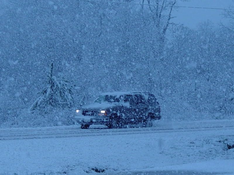 Southern Snowstorm - Countryside Families