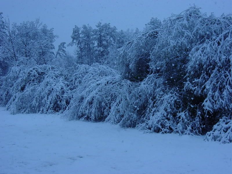 Southern Snowstorm - Countryside Families