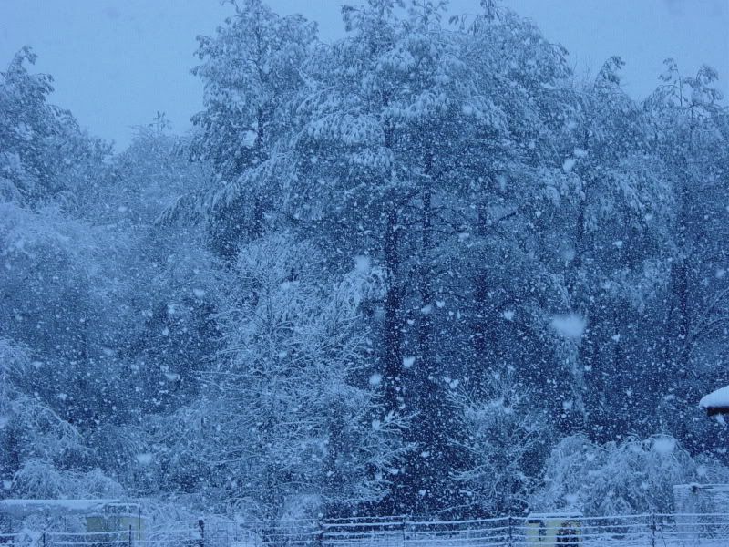 Southern Snowstorm - Countryside Families