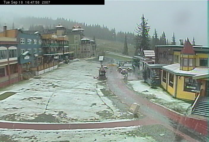 silverstarsnow.jpg