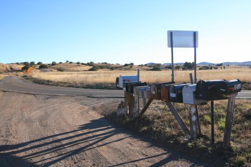 IMAGE: http://i108.photobucket.com/albums/n32/cactuscowgirlaz/IMG_2322.jpg